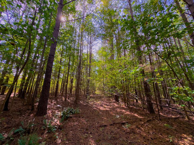 Warrenton, NC 12 acres Land and Farms Realty